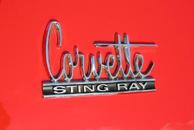 MARTINSRANCH 66 Corvette (6) 